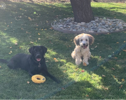 bucky-and-his-buddy